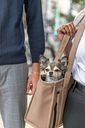 Vorschaubild TRIXIE Tasche CityStyle, 40 × 20 × 30 cm, cappuccino