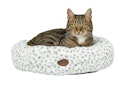 Vorschaubild NOBBY Donut "ALANIS" leopard grau Ø 45 cm