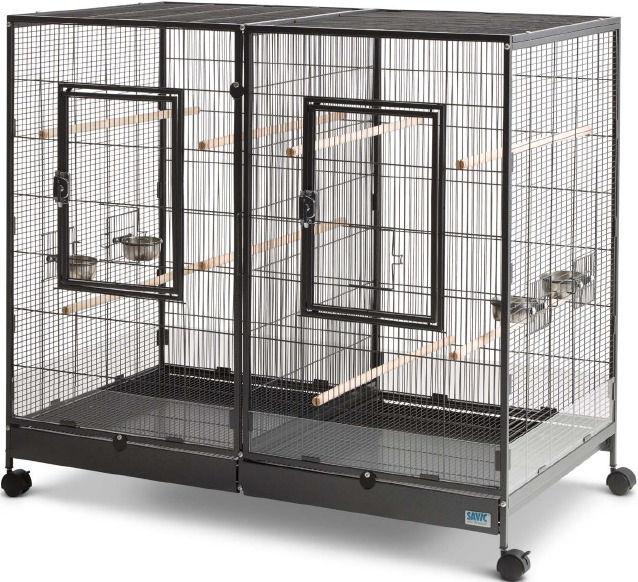 SAVIC Tasmania 120 auf Rollen