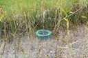 Vorschaubild Pontec Solar-Wasserspielset PondoSolar Island 250 Control