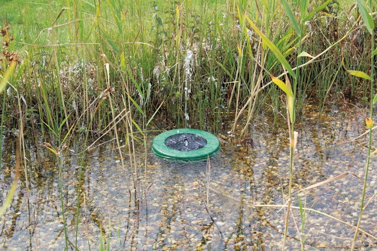 Pontec Solar-Wasserspielset PondoSolar Island 250 Control