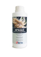 Red Sea Aiptasia-X 500 ml Nachfüllpack Behandlungskit