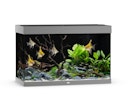 Vorschaubild Rio 290 LED grau Aquarium
