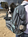 Vorschaubild NOBBY Multifunktions-Rucksack "NOMAD" grau 45 x 26 x 27 cm