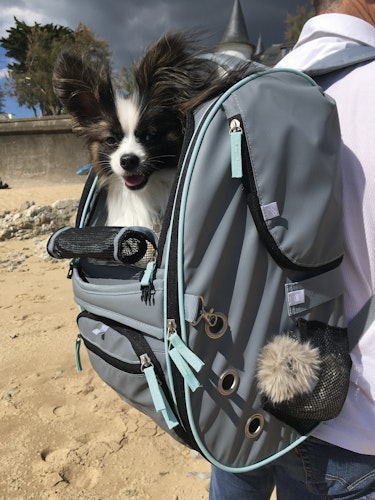 NOBBY Multifunktions-Rucksack "NOMAD" grau 45 x 26 x 27 cm
