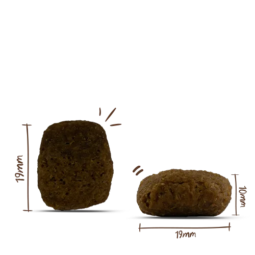 Bosch MENUE Adultt Rind und Innereien 2,4kg 