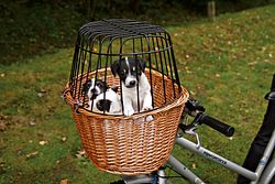 TRIXIE Front-Fahrradkorb, 44 × 48 × 33 cm, natur