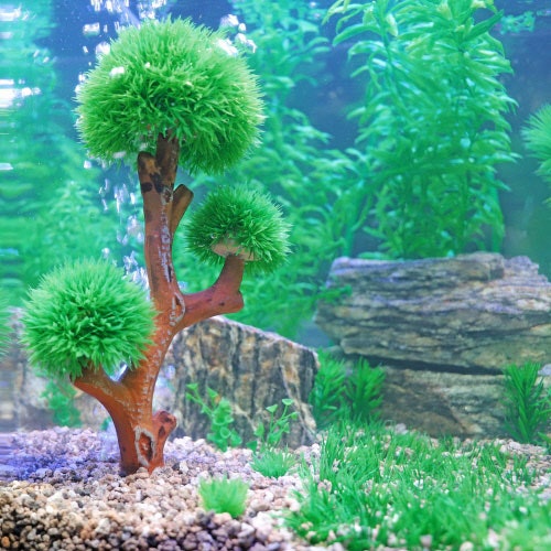 HOBBY Plant Aqua Tree 3 Aquarieneinrichtung