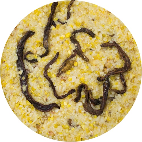 JR FARM Peanut Bar Erdnussbutter 350g Wildvogelfutter zum Nachfüllen