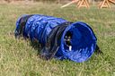 Vorschaubild TRIXIE Fun Agility Mini Tunnel, ø 40 cm/2 m, blau