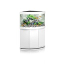 Vorschaubild JUWEL Trigon 190 LED Aquarium mit Unterschrank