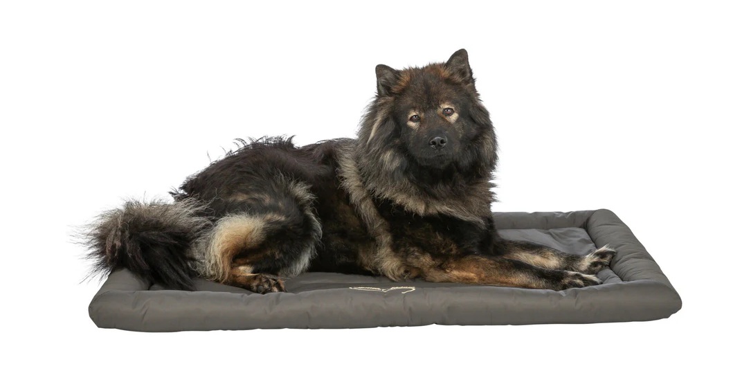 TRIXIE Reisedecke Samoa Classic, olivgrün