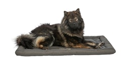 TRIXIE Reisedecke Samoa Classic, 110 × 70 cm, olivgrün