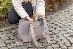 TRIXIE Tasche Mary, 53 × 30 × 20 cm, sand