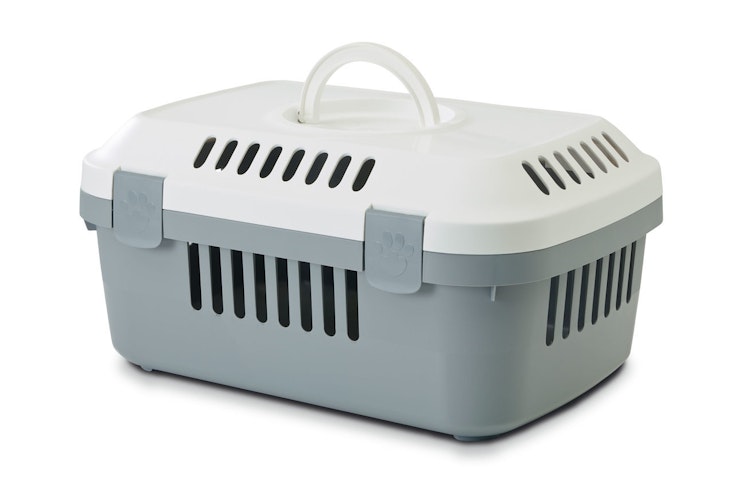 SAVIC Transportbox Discovery Compact grau/weiß