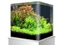 Vorschaubild amtra Nanotank Glasbecken