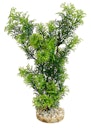 Vorschaubild Sydeco Jungle Medium 28 Zentimeter Aquariendekoration
