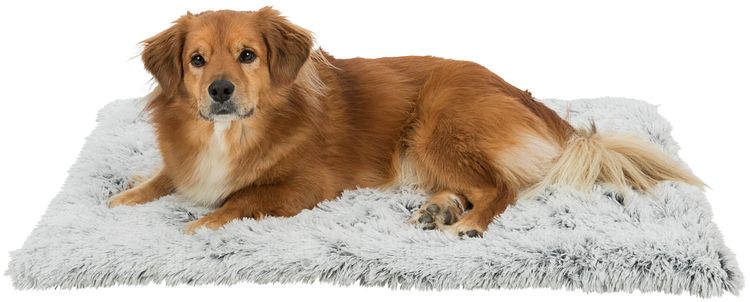 TRIXIE Liegematte Harvey, weiß-schwarz/grau