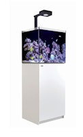 Red Sea REEFER™ 200 G3 Deluxe - Weiss (inklusive 1 X RL115 & Montagearm)