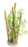 Sydeco Bamboo XL 38 Zentimeter Aquariendekoration