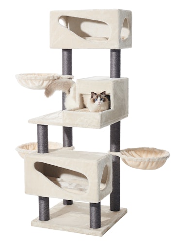 NOBBY Kratzbaum  "CORLU" cream; 60 x 60 x 171 cm NOBBY Kratzbaum  "CORLU" cream; 60 x 60 x 171 cm