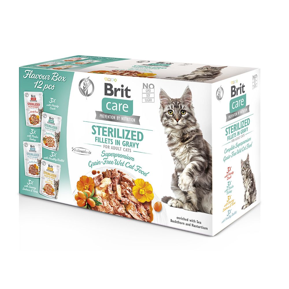 Brit Katze MultiPack 12 x 85g Fillets in Gravy