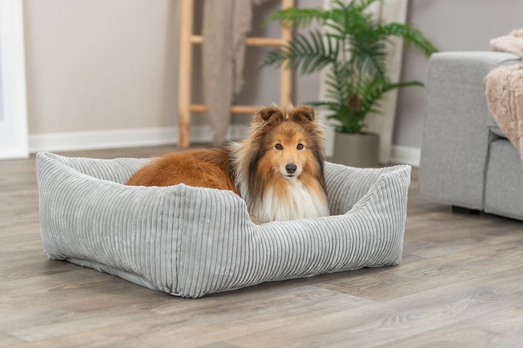 TRIXIE Vital Bett Jonna eckig mit Cordplüsch und Memory-Foam, hellgrau