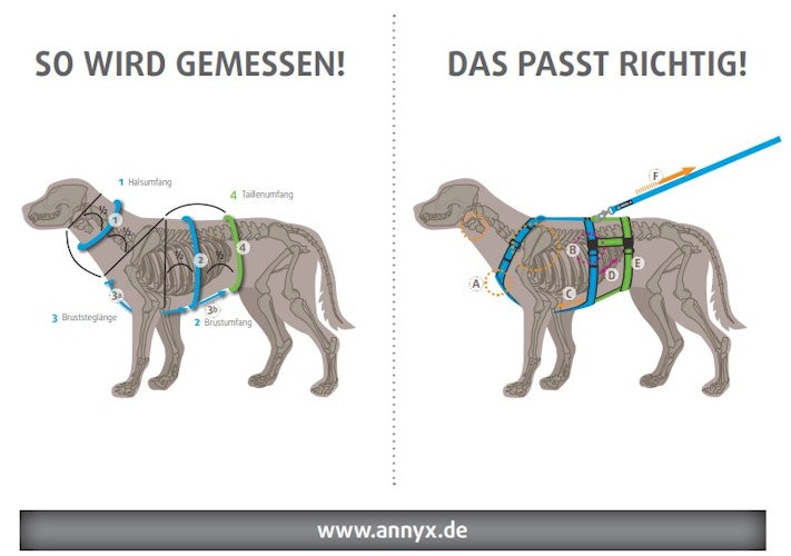 annyx Brustgeschirr Fun schwarz