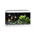 Vorschaubild Rio 290 LED weiß Aquarium