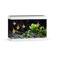 Rio 290 LED weiß Aquarium