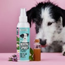 Vorschaubild Tierliebhaber Dentalspray für Hunde