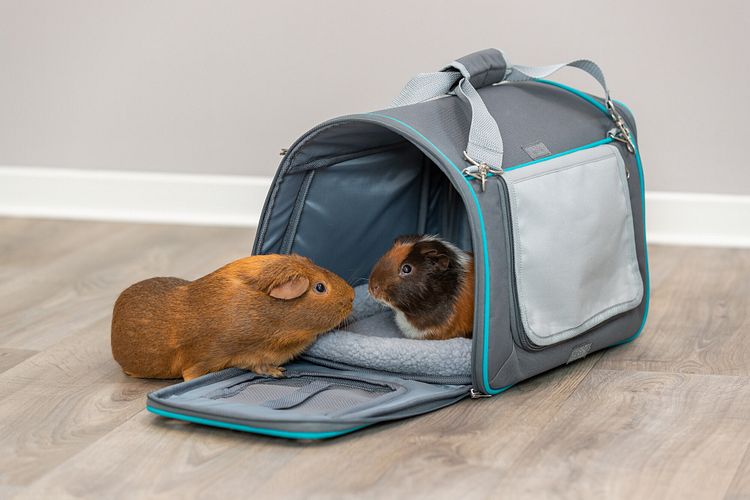 TRIXIE Wohn- und Transporttasche Vicky, 40 × 27 × 28 cm, grau