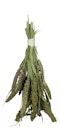 Vorschaubild JR FARM Grüne Senegalhirse 50g Vogelsnack