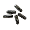 Vorschaubild HOBBY Planaria X Lockfutter Fischfutter