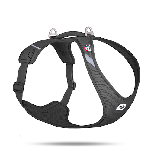 Curli All New Belka Comfort Black