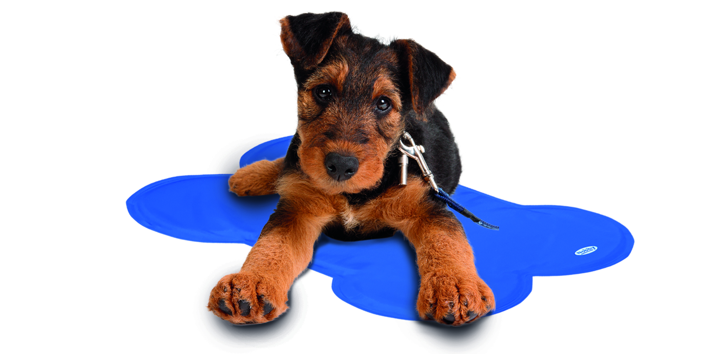 NOBBY Kühlmatte "Basic" Bone