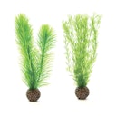 Vorschaubild biOrb Federfarn Set klein grün (46083)