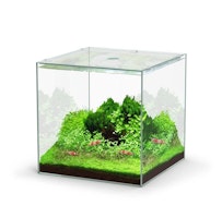 Aquatlantis Kubus 22 L Glasbecken