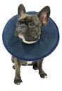 Vorschaubild Vetlando Leckschutzkragen Hunde- & Katzenpflegeartikel