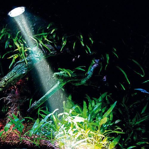 HOBBY Bubble Air Spot Aquarienbeleuchtung