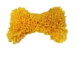 NOBBY Schnüffelmatte BONE