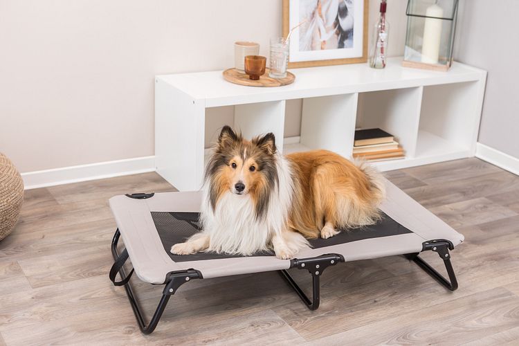 TRIXIE Hundeliege, beige/schwarz