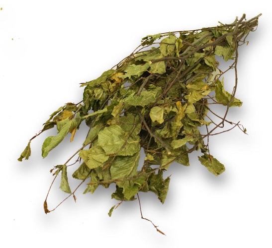 JR FARM Ein Stück Natur Haselnuss-Ernte 40g Kleintierfutter