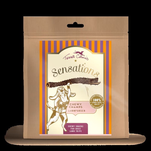 Terra Canis 250g  Chewy Champs Hundesnack