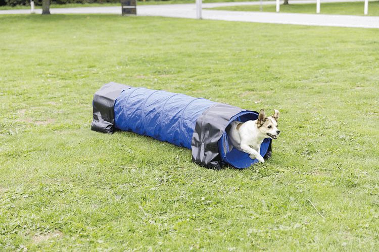 TRIXIE Fun Agility Mini Tunnel, ø 40 cm/2 m, blau