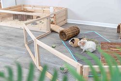 TRIXIE Indoor Freilaufgehege, Meerschweinchen, 4 Elemente à 60 × 30 cm