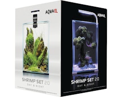 Shrimp Set Day & Night 20 schwarz