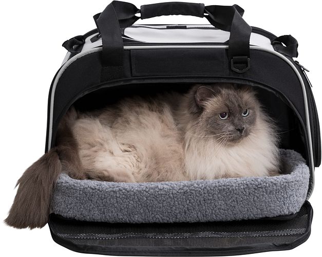 TRIXIE Wohn- und Transporttasche Valery, 29 × 31 × 49 cm, schwarz/grau