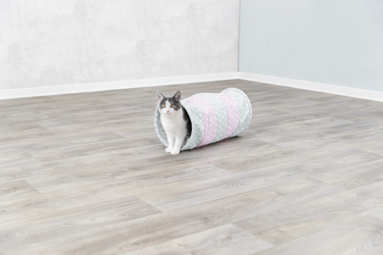 Spieltunnel, Plüsch buntø 25 cm/50 cm