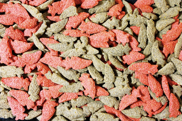 JR FARM Möhrchen 200g Kleintiersnack